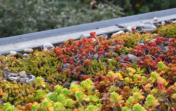 the cost of Blandford St Mary green roof installation