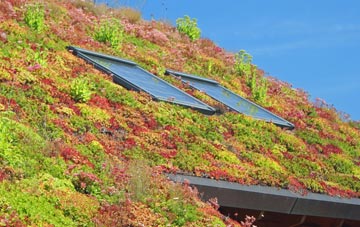 Blandford St Mary living roof systems