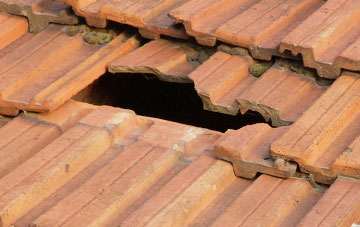 roof repair Blandford St Mary, Dorset
